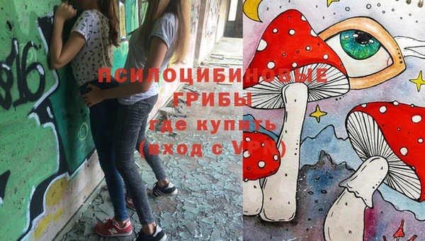 PSILOCYBIN Мегион