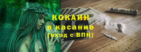 PSILOCYBIN Магас
