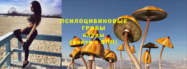 мяу мяу мука Медногорск